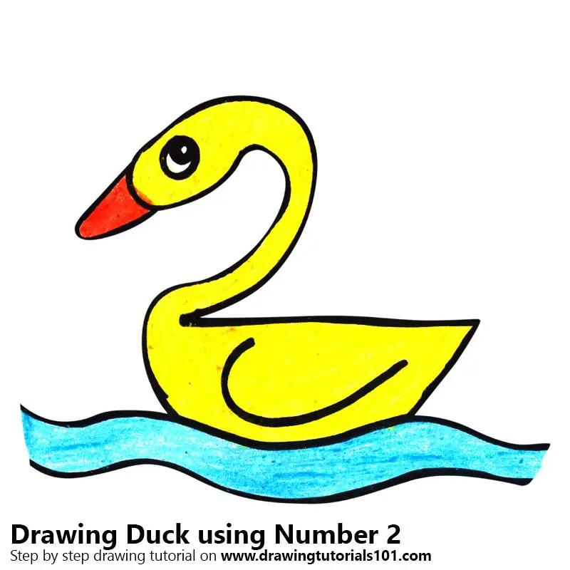 Duck using Number 2 Color Pencil Drawing