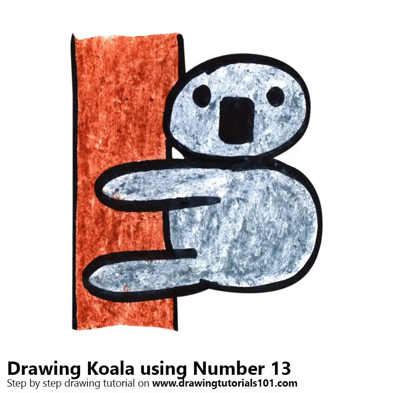 Koala using Number 13 Color Pencil Drawing