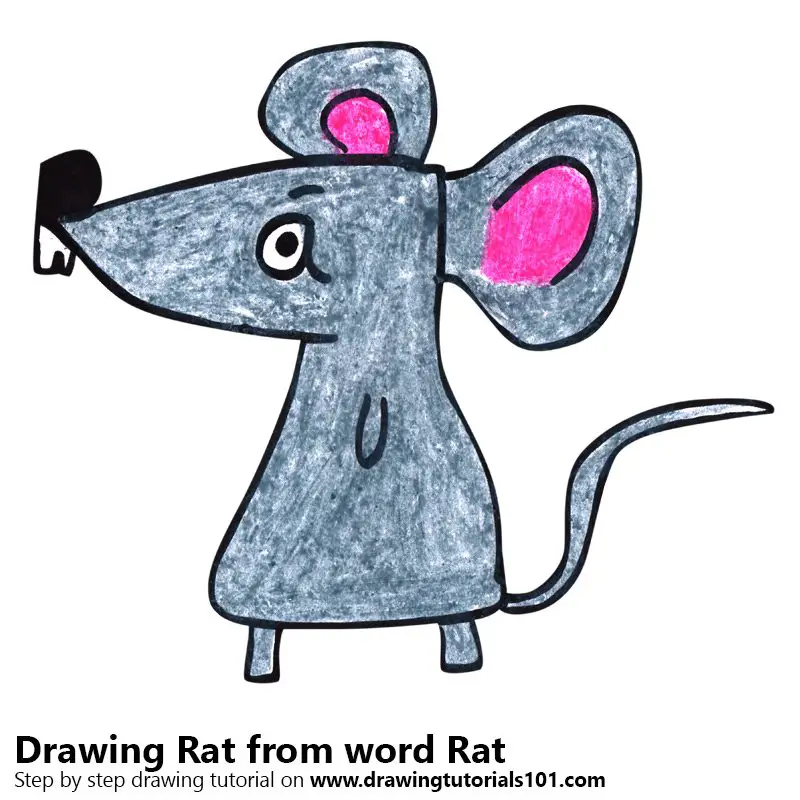 Rat from word Rat Color Pencil Drawing