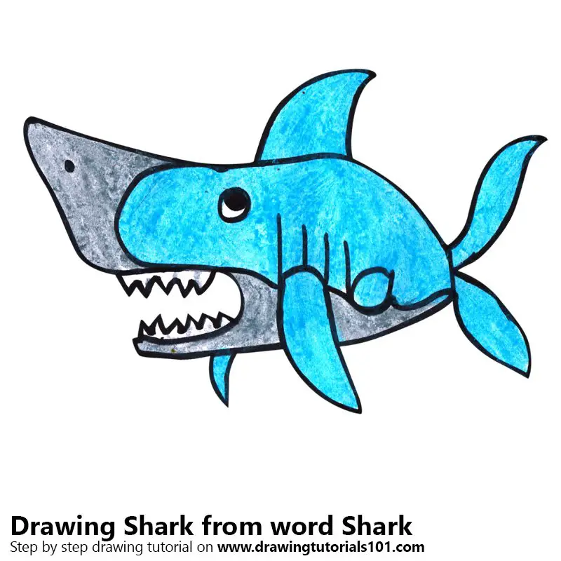 Shark from word Shark Color Pencil Drawing