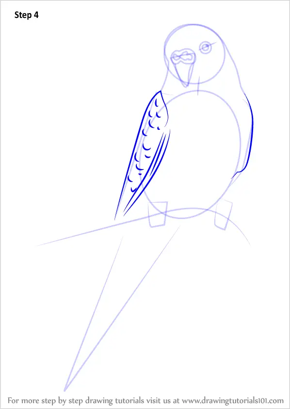 Learn How to Draw a Cartoon Parakeet (Birds for Kids) Step by Step