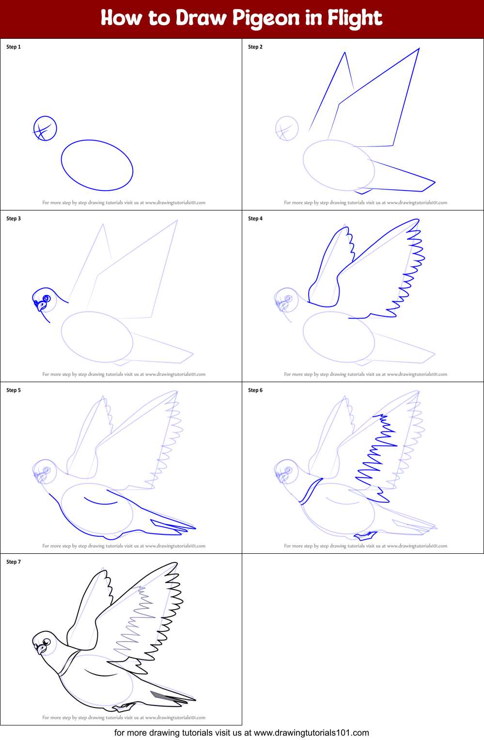 How to Draw Pigeon in Flight printable step by step drawing sheet