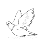 How to Draw Pigeon in Flight