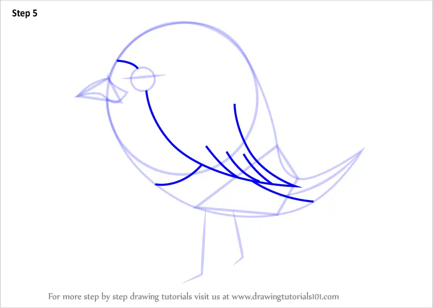 Step By Step How To Draw Robin Bird For Kids DrawingTutorials101 Com   How To Draw Robin Bird Step 5 