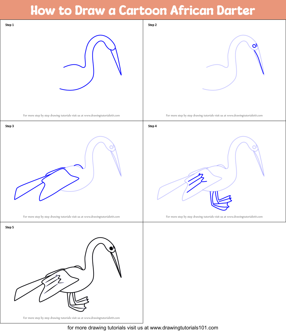 How to Draw a Cartoon African Darter printable step by step drawing ...