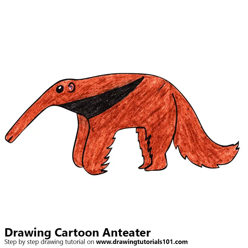 Cartoon Anteater Color Pencil Drawing