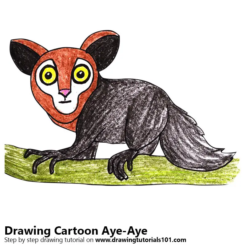 Learn How to Draw a Cartoon AyeAye (Cartoon Animals) Step by Step
