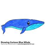 How to Draw a Cartoon Blue Whale