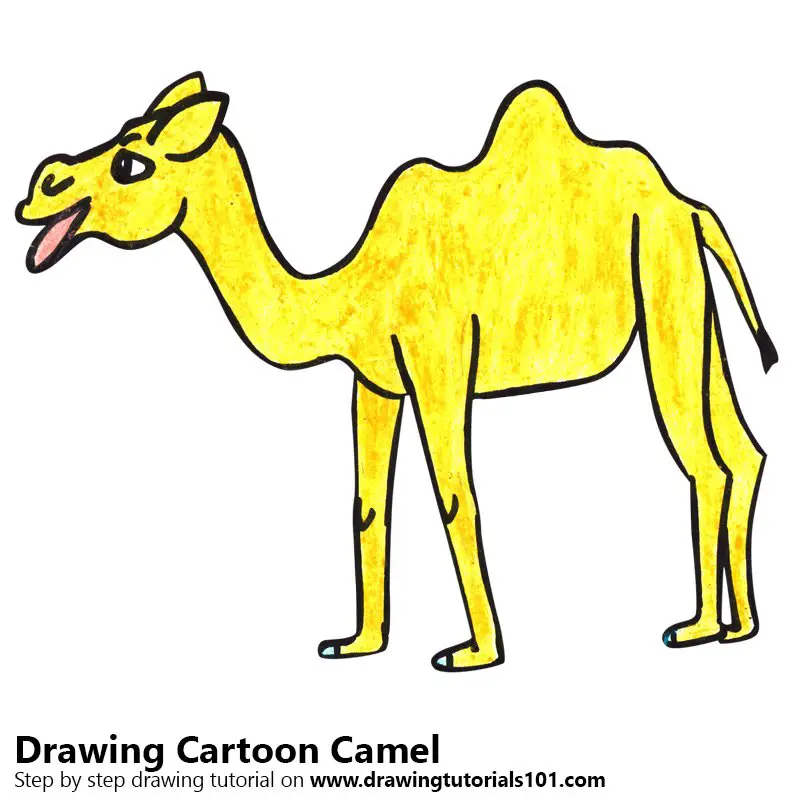 Cartoon Camel Color Pencil Drawing