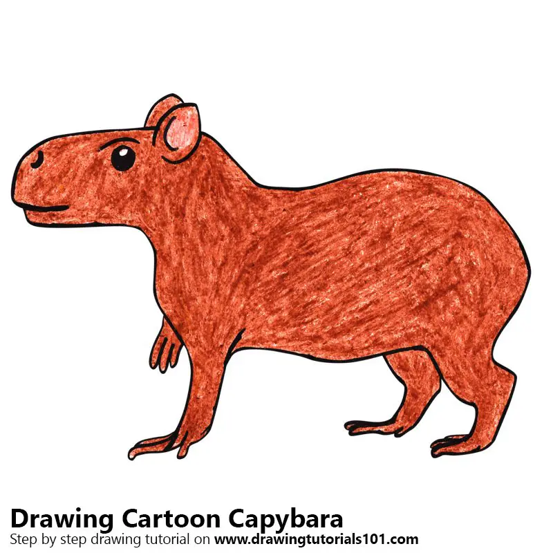 Cartoon Capybara Color Pencil Drawing