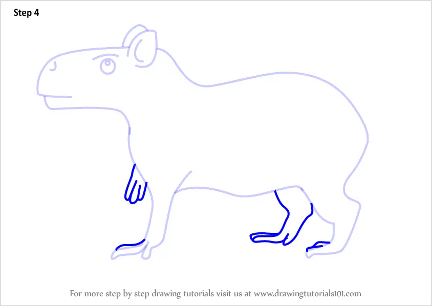 Step by Step How to Draw a Cartoon Capybara : DrawingTutorials101.com