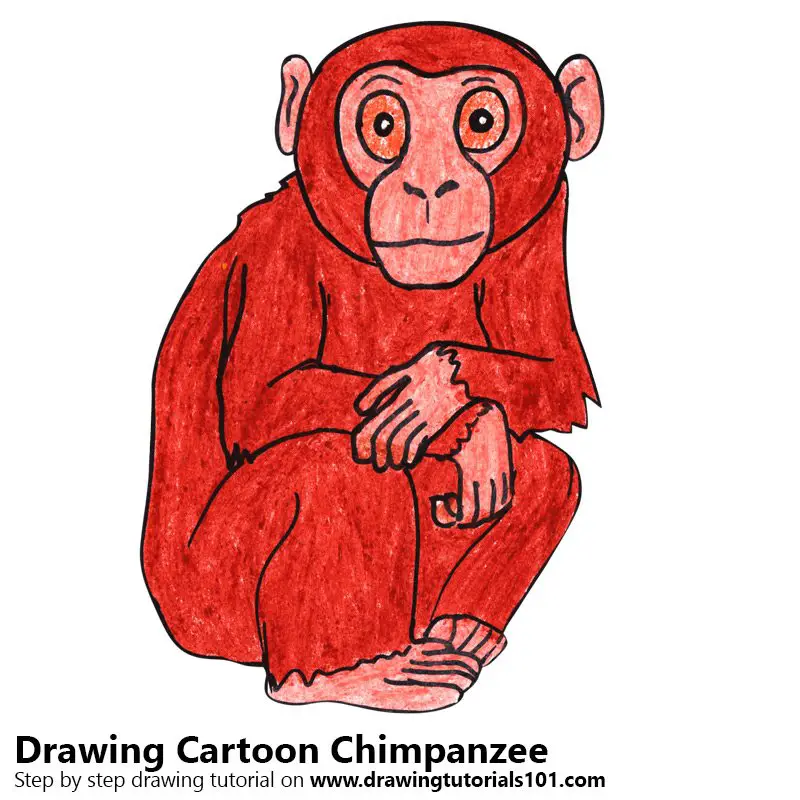 Cartoon Chimpanzee Color Pencil Drawing