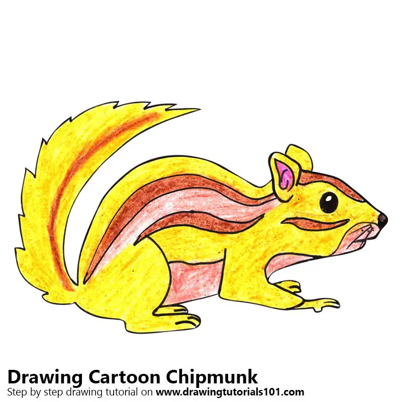 Cartoon Chipmunk Color Pencil Drawing