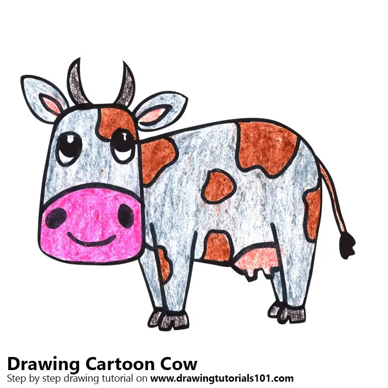 Cow Color Drawing Book: Big Cow: Amazon.co.uk: Srivastava, Mr. Vivek:  9798797543237: Books