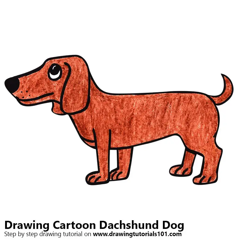 Cartoon Dachshund Dog Color Pencil Drawing