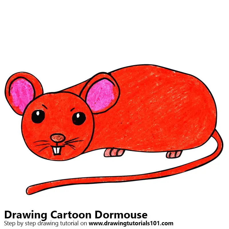 Cartoon Dormouse Color Pencil Drawing