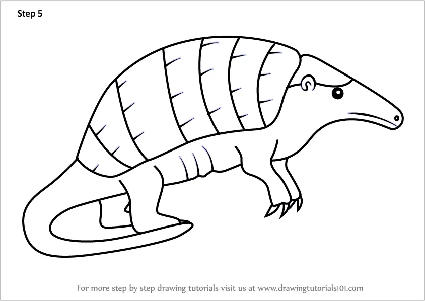 Learn How to Draw a Cartoon Giant Armadillo (Cartoon Animals) Step by ...