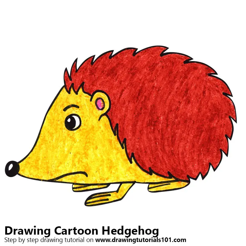 Learn How to Draw a Cartoon Hedgehog (Cartoon Animals) Step by Step
