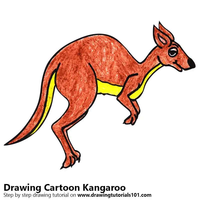 Cartoon Kangaroo Color Pencil Drawing