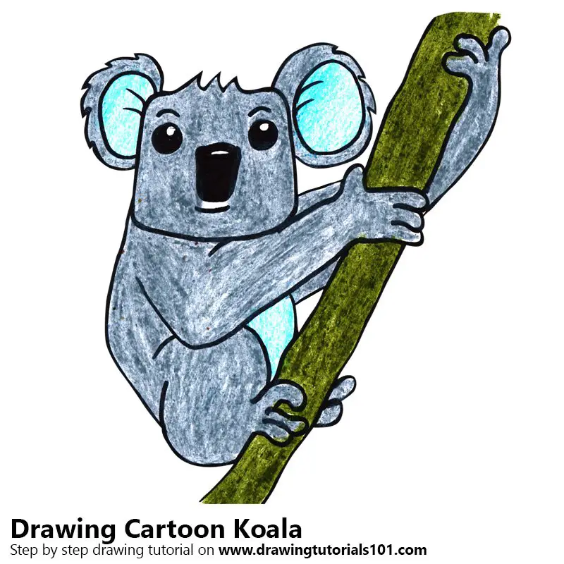 Cartoon Koala Color Pencil Drawing