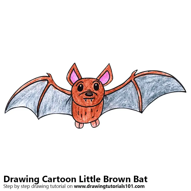 Cartoon Little Brown Bat Color Pencil Drawing