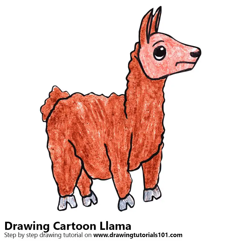 Cartoon Llama Color Pencil Drawing