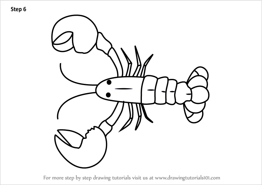 Step by Step How to Draw a Cartoon Lobster : 