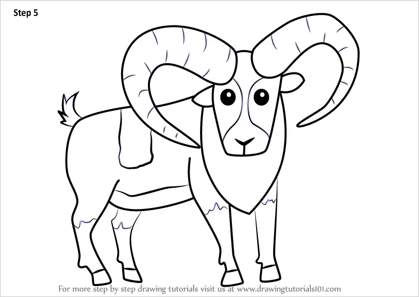 Step by Step How to Draw a Cartoon Mouflon : DrawingTutorials101.com