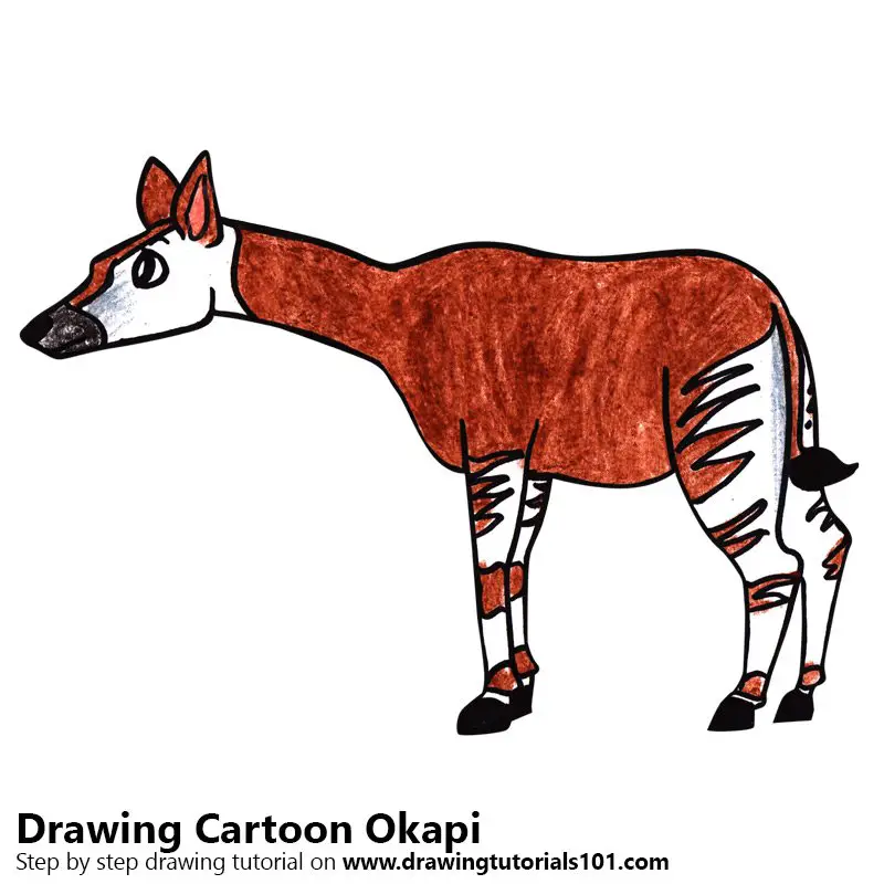 Step by Step How to Draw a Cartoon Okapi
