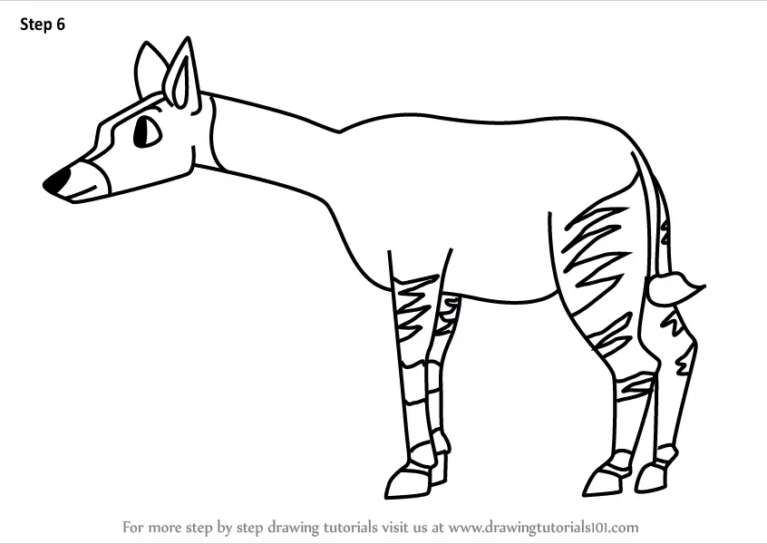 Step by Step How to Draw a Cartoon Okapi : DrawingTutorials101.com