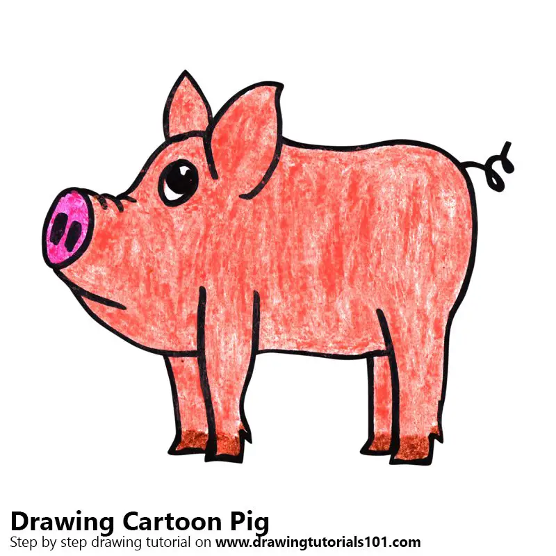 Learn How to Draw a Cartoon Pig (Cartoon Animals) Step by Step