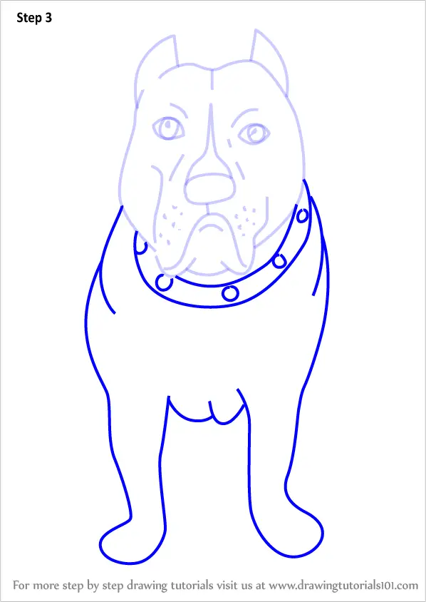 Step by Step How to Draw a Cartoon Pitbull Dog