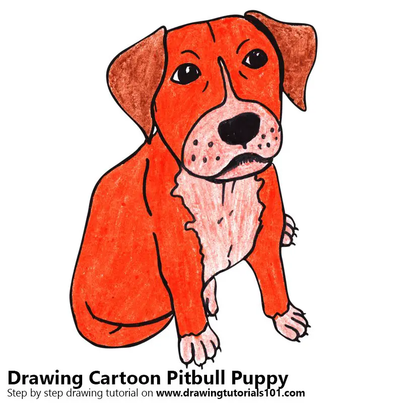Cartoon Pitbull Puppy Color Pencil Drawing