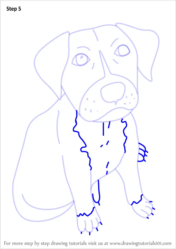 Step by Step How to Draw a Cartoon Pitbull Puppy
