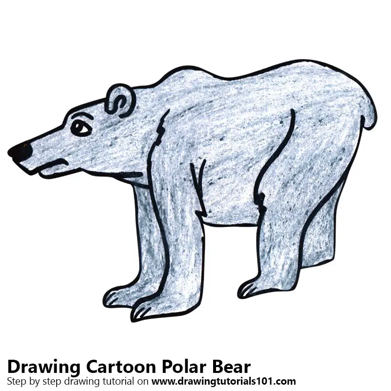Learn How to Draw a Cartoon Polar Bear (Cartoon Animals) Step by Step :  Drawing Tutorials