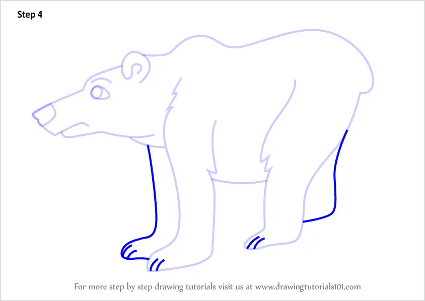 Step by Step How to Draw a Cartoon Polar Bear : DrawingTutorials101.com