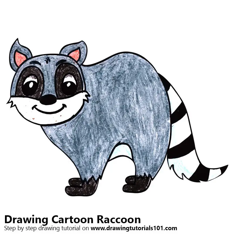 Cartoon Raccoon Color Pencil Drawing