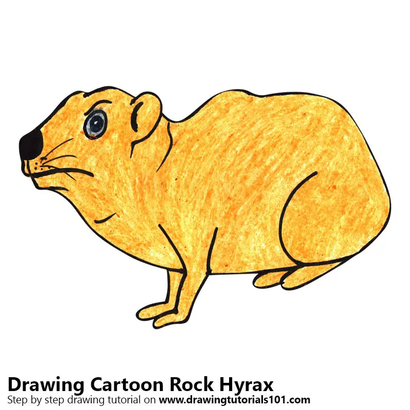 Learn How to Draw a Cartoon Rock Hyrax (Cartoon Animals) Step by Step :  Drawing Tutorials