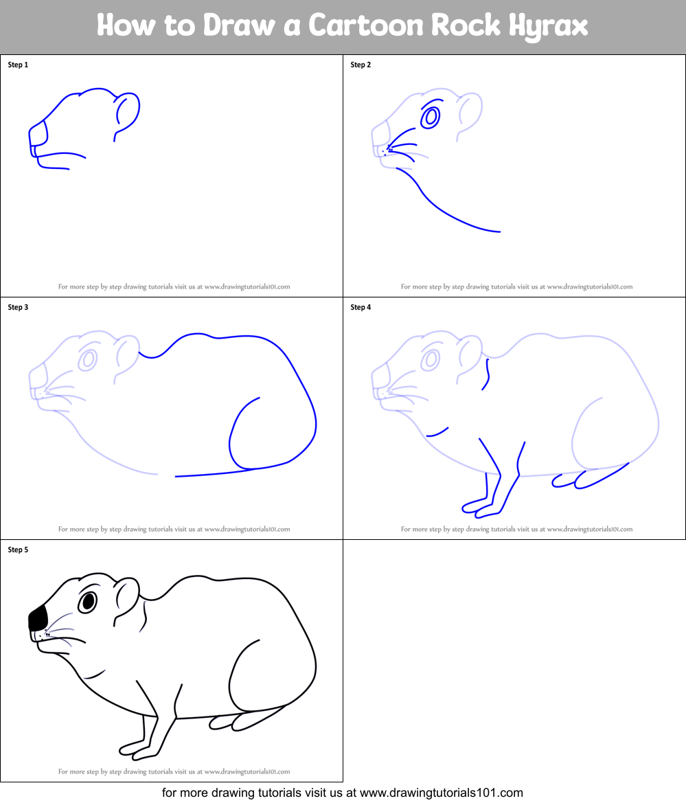 How to Draw a Cartoon Rock Hyrax printable step by step drawing sheet ...