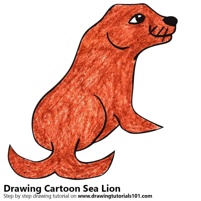 Cartoon Sea Lion Color Pencil Drawing