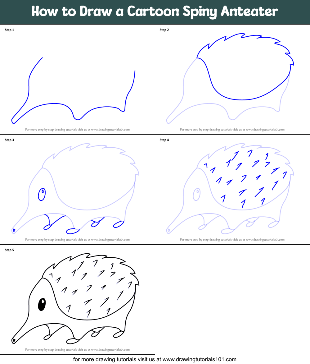 How to Draw a Cartoon Spiny Anteater printable step by step drawing ...
