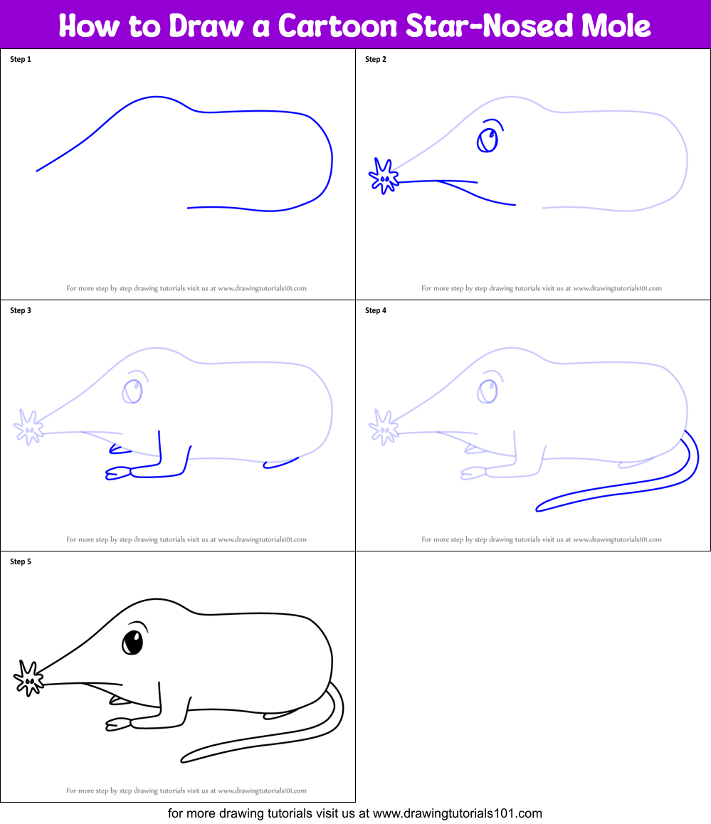 How to Draw a Cartoon Star-Nosed Mole printable step by step drawing ...