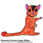Cartoon Sugar Glider Color Pencil Sketch