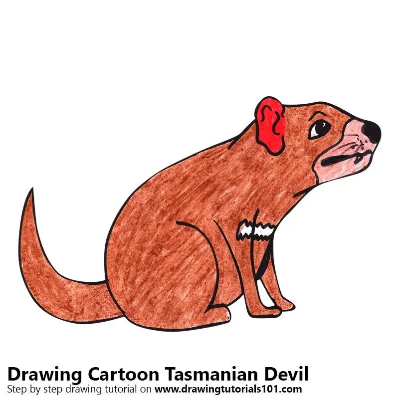 Learn How to Draw a Cartoon Tasmanian Devil (Cartoon Animals) Step by Step  : Drawing Tutorials