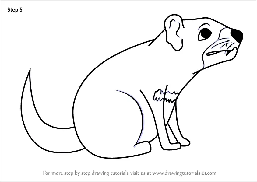 Step by Step How to Draw a Cartoon Tasmanian Devil