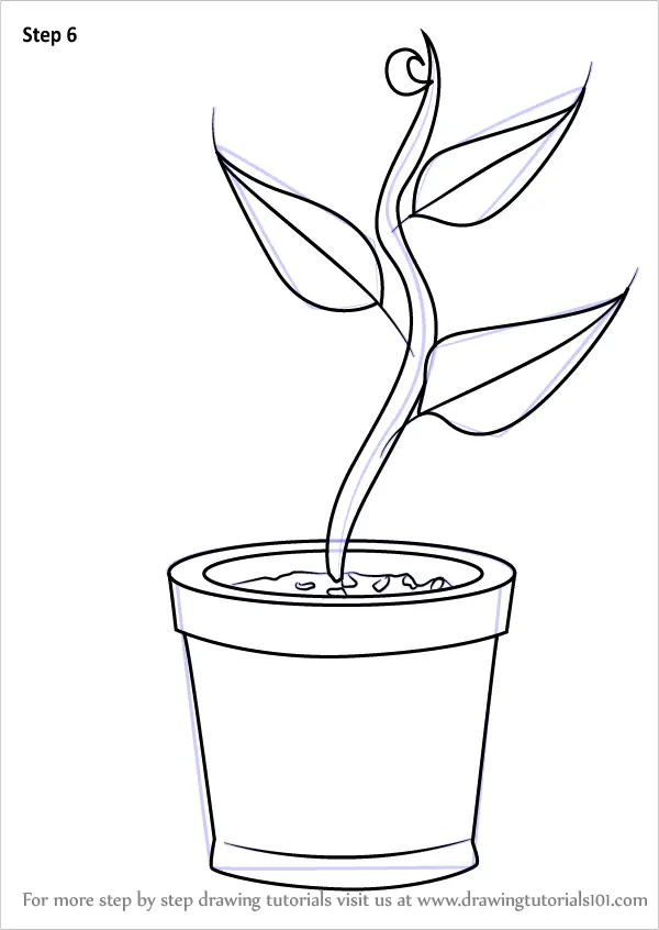 Learn How to Draw Plant in Pot (Plants for Kids) Step by Step Drawing