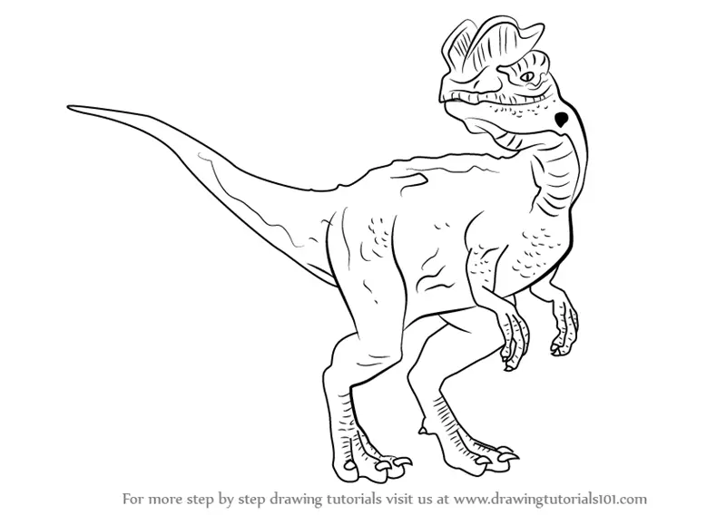 Learn How to Draw a Dilophosaurus (Dinosaurs) Step by Step Drawing