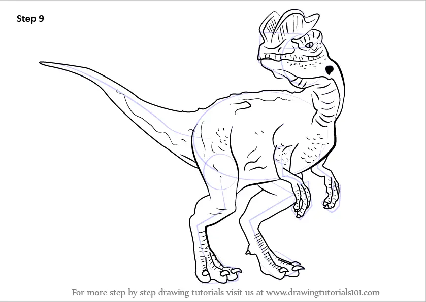 Learn How to Draw a Dilophosaurus (Dinosaurs) Step by Step : Drawing