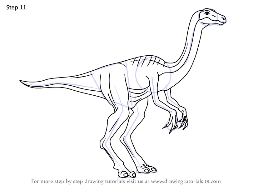 Learn How to Draw a Gallimimus (Dinosaurs) Step by Step : Drawing Tutorials