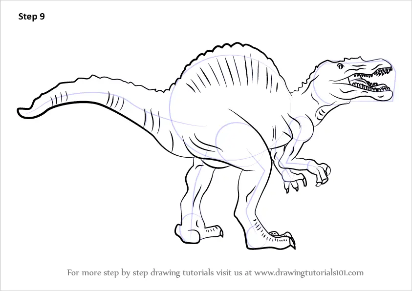 Learn How to Draw a Spinosaurus (Dinosaurs) Step by Step : Drawing